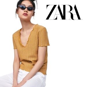 ZARA Short Sleeve Top w/Lettuce Trim: Dandelion Yellow/embedded metallic thread